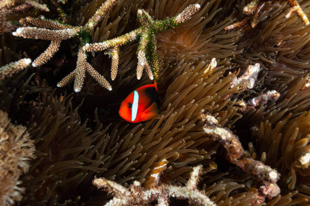 Affordable Vacation Destinations