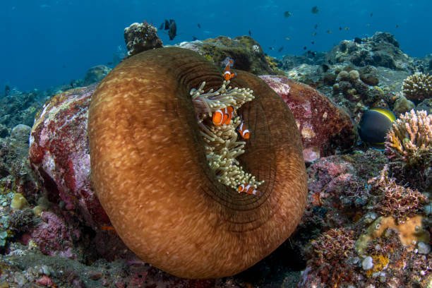 Affordable Vacation Destinations