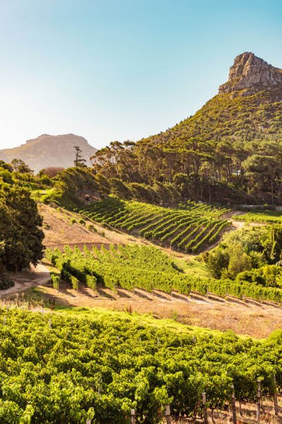 Best Travel Destinations Worldwide 2023