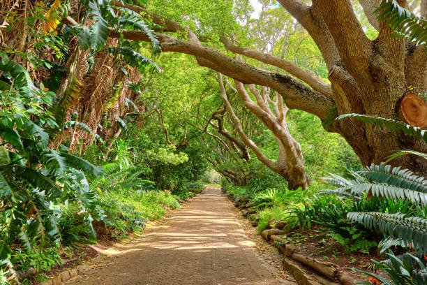 Best Travel Destinations Worldwide 2023