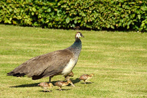 Things to Do in Denmark