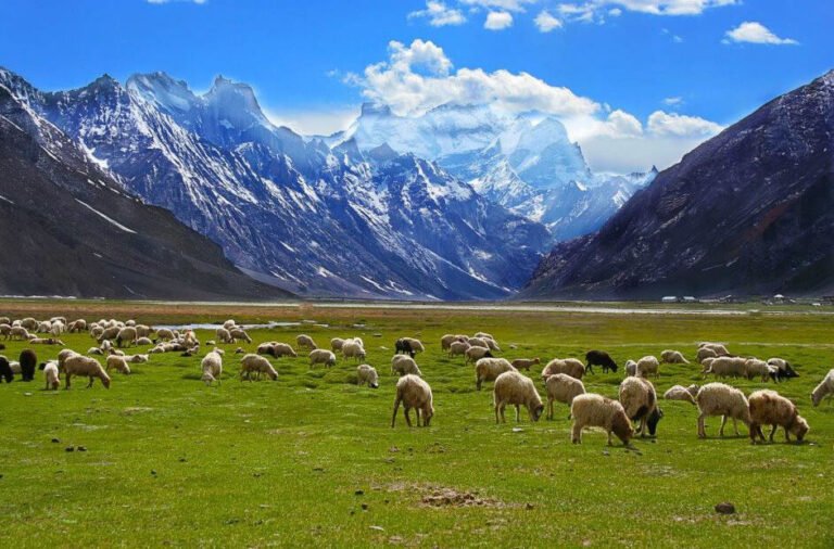 Ladakh: Unforgettable Land of Endless Adventures
