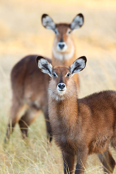 Best Travel Destinations Worldwide 2023