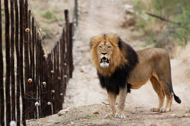 Best Travel Destinations Worldwide 2023