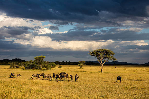 Best Travel Destinations Worldwide 2023