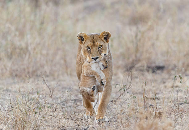 Best Travel Destinations Worldwide 2023