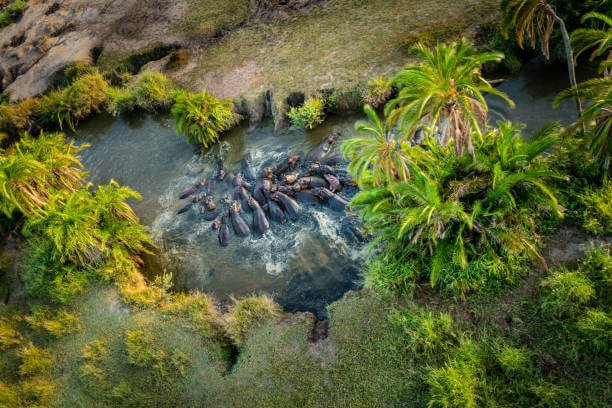 Best Travel Destinations Worldwide 2023