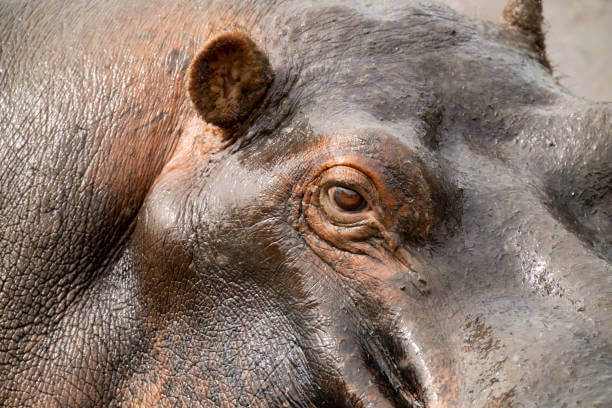 Best Travel Destinations Worldwide 2023