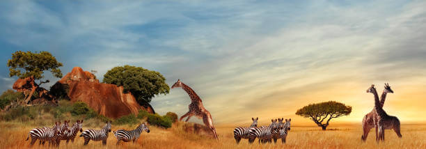 Best Travel Destinations Worldwide 2023