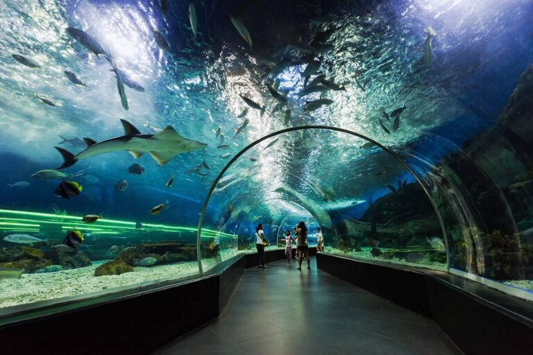 Places to Visit in Manila