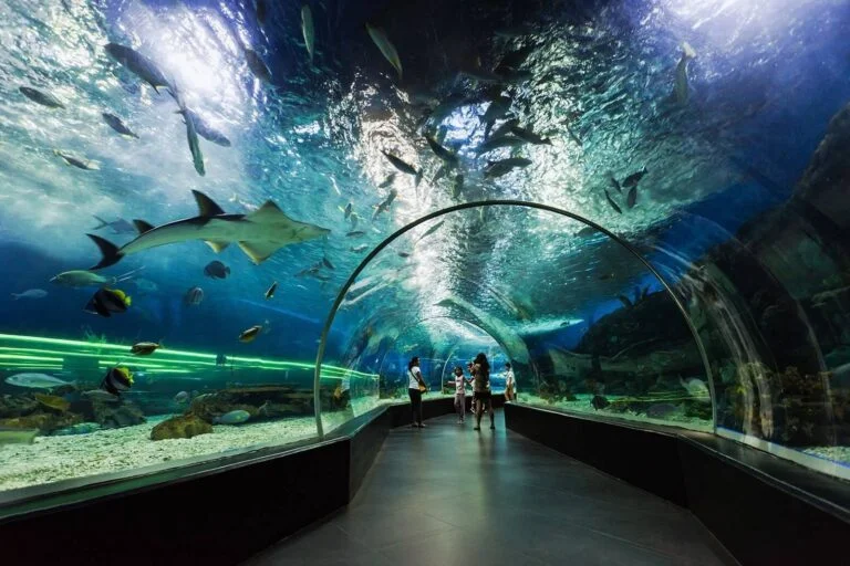 Places to Visit in Manila