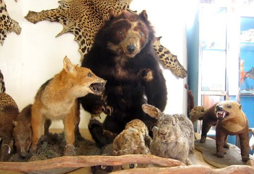 Places to Visit in Ecuador