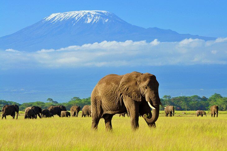 Tourist Places In Kenya