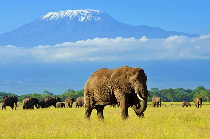 Our Top 5 Magnificent Tourist Places In Kenya: