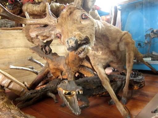 Places to Visit in Ecuador