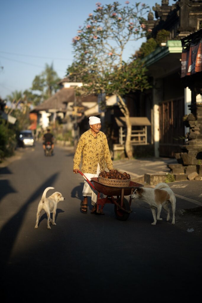 Best Travel Destinations Worldwide 2023