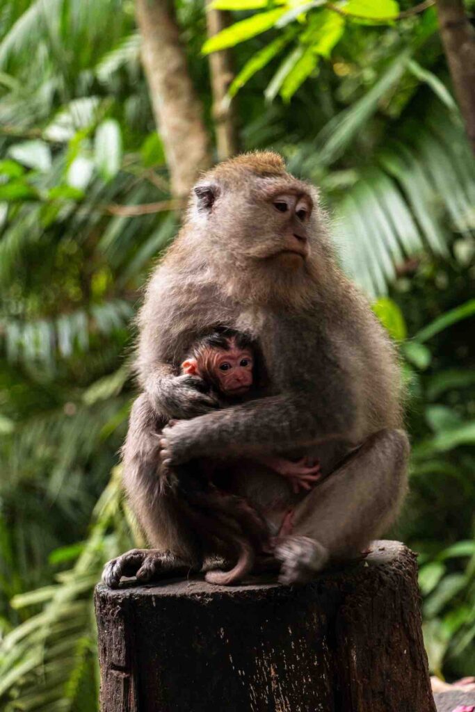 Best Travel Destinations Worldwide 2023