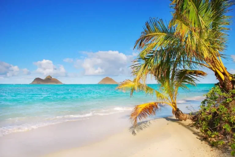 Best FREE Things to Do in Hawaii