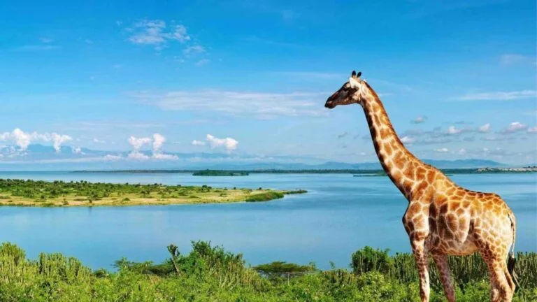 Our Top 5 Best Places To Visit In Uganda: