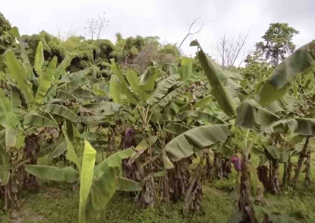 Places To Visit In Equatorial Guinea