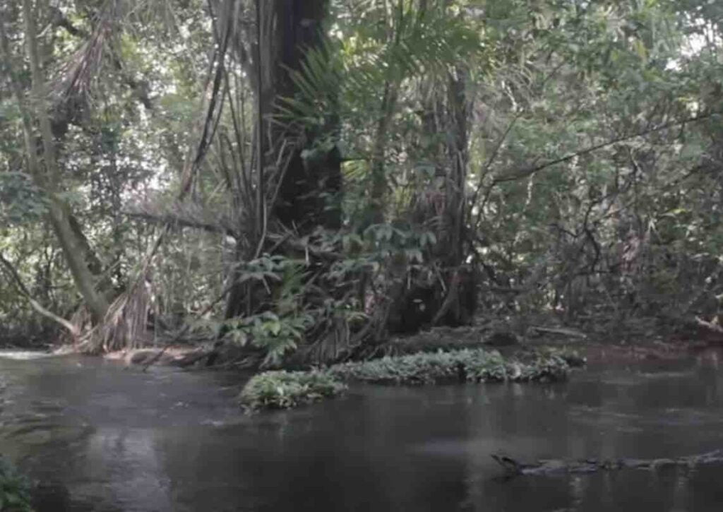 Places To Visit In Equatorial Guinea