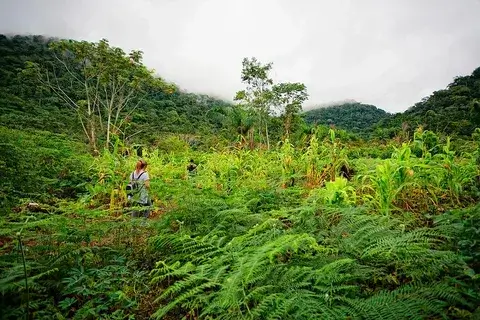Places To Visit In Equatorial Guinea