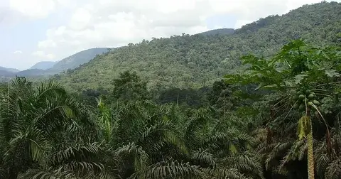 Places To Visit In Equatorial Guinea