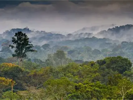 Places To Visit In Equatorial Guinea