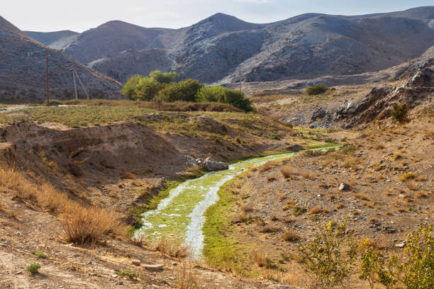 Places to Visit in Uzbekistan Nurata Kyzylkum Biosphere Reserve