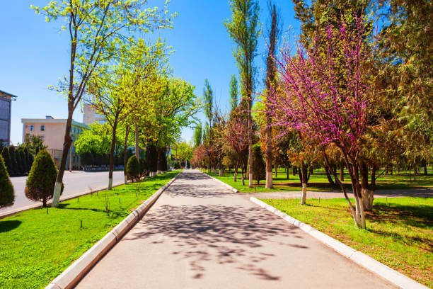 Places to Visit in Uzbekistan