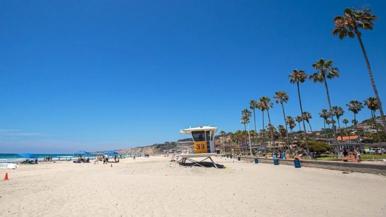 Our Top 10 Best Things To Do In San Diego: