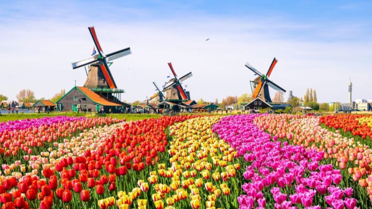 Our Top 5 Best Places to Visit in the Netherlands: