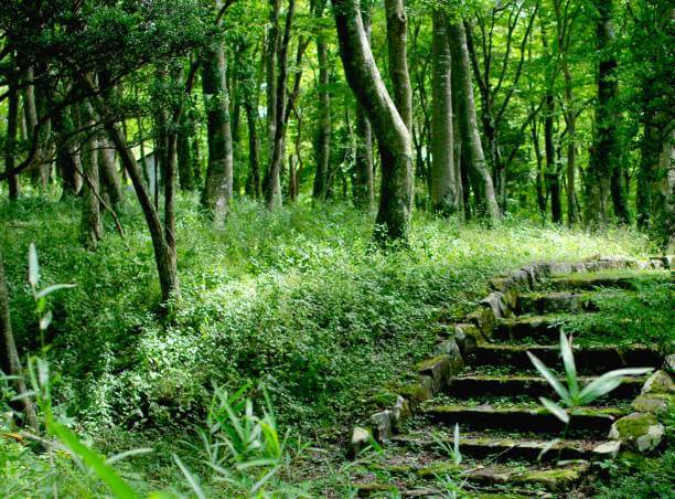 Places to Visit in Japan