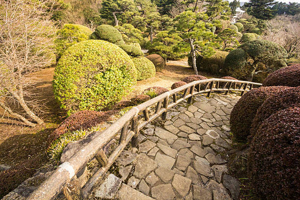 Places to Visit in Japan