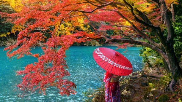 Places to Visit in Japan
