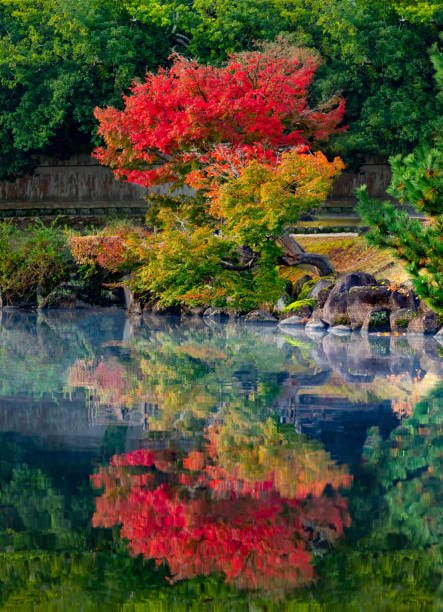 Places to Visit in Japan