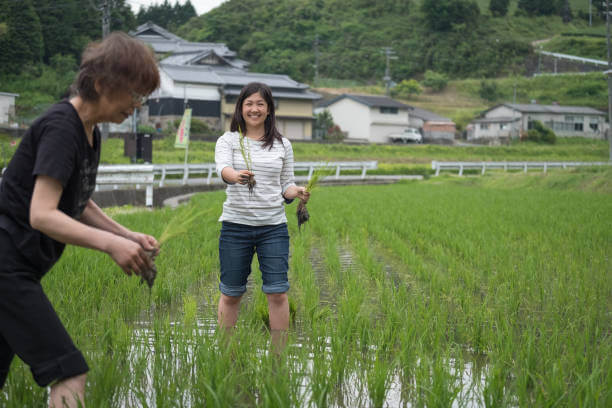 Places to Visit in Japan