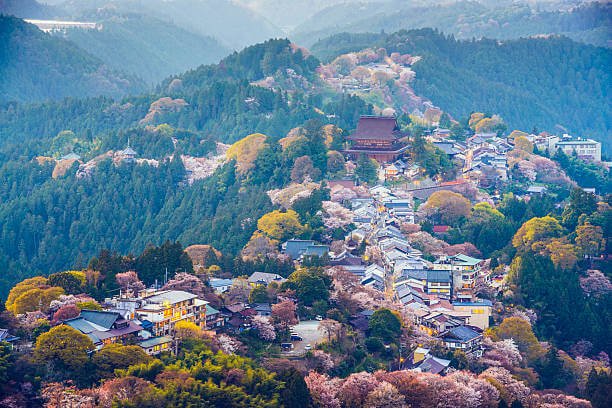 Places to Visit in Japan