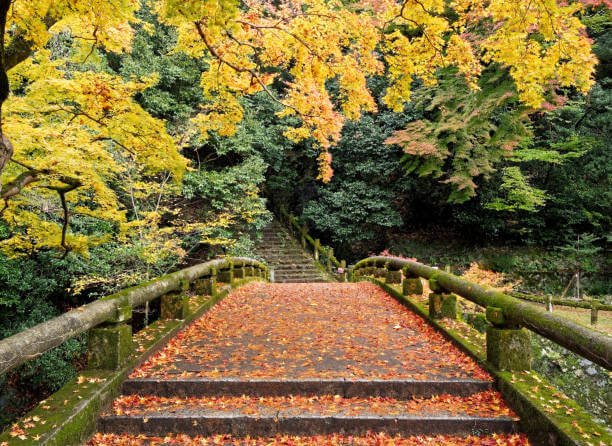 Places to Visit in Japan