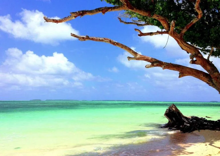 Places to Visit in the Marshall Islands