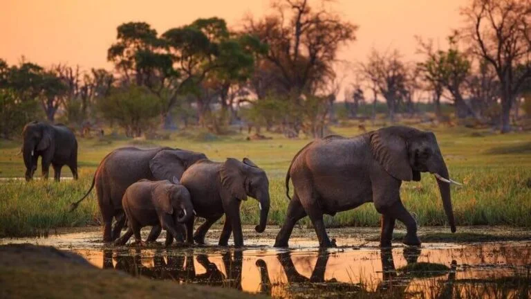 Our Top 5 Best Places To Visit In Zambia